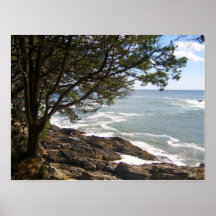 Tranquilidad Poster