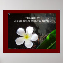Tranquilidad Poster