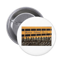 Transbordador NYC de Staten Island Pin