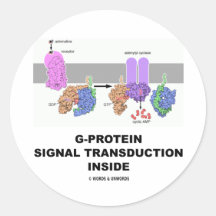 Transducción de la señal de la G-Proteína dentro Etiquetas