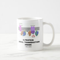 Transducción de la señal de la G-Proteína dentro tazas