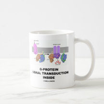 Transducción de la señal de la G-Proteína dentro Taza De Café