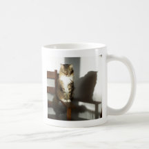 Trasto Tazas De Café