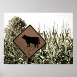 Travesía de la vaca poster