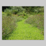 Trayectoria 10 x del Wildflower impresión fotográf fotografía