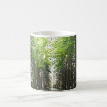 Trayectoria a través del bosque taza de café