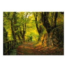 Trayectoria de bosque comunicado personal  