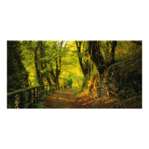 Trayectoria de bosque tarjeta con foto personalizada