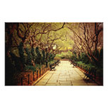 Trayectoria de la primavera del Central Park - New Impresion Fotografica