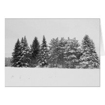 Treeline Tarjetas