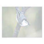 Trepatroncos Blanco-breasted Anuncio