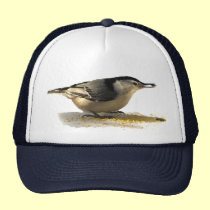 Trepatroncos Blanco-breasted gorras