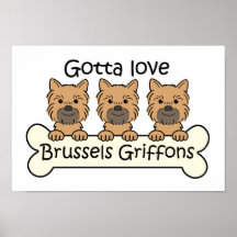 Tres Bruselas Griffons Impresiones