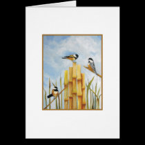 Tres Chickadees tarjetas