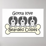 Tres collies barbudos posters