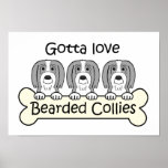 Tres collies barbudos posters