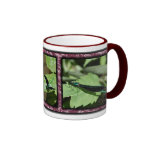 Tres Damselflies 01 Taza De Café