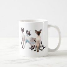 Tres gatos siameses tazas