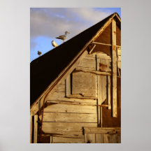 Tres gaviotas posters