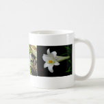 Tres lirios blancos tazas