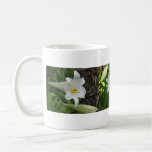 Tres lirios blancos tazas de café