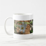 Tres lirios blancos tazas de café