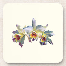 Tres orquídeas blancas posavasos