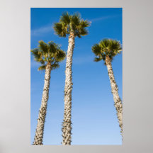 Tres palmas poster