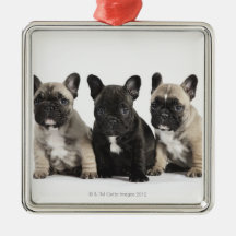 Tres perritos pedigríes adorno de navidad