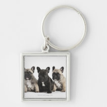 Tres perritos pedigríes llavero personalizado