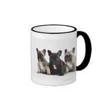 Tres perritos pedigríes tazas