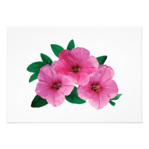 Tres petunias rosadas anuncio
