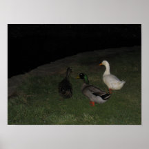 Tres Posters