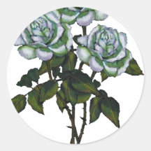 Tres rosas blancos: Arte del lápiz del color: Flor Etiquetas