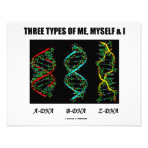 Tres tipos de mí, de mismo y I (A-DNA B-DNA Z-DNA) Anuncio