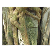 Tress 3 de Angkor fotografía
