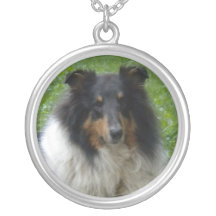 Tri collie áspero collar personalizado