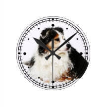 Tri perro de pastor australiano negro en nieve relojes