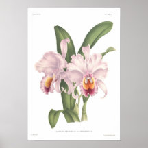 Trianae de Cattleta Poster