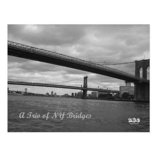 Trifecta del puente de N.Y.E Tarjetas Postales