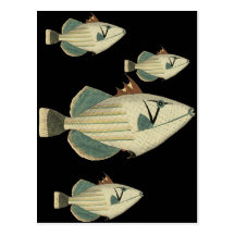 Triggerfish Tarjetas Postales