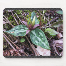 Trillium del residuo, en peligro, reliquum del Tri Alfombrillas De Ratón