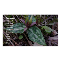 Trillium del residuo, en peligro, reliquum del Tri Tarjeta De Visita