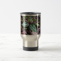 Trillium del residuo, en peligro, reliquum del Tri Taza De Café