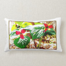 Trillium en la almohada de maderas