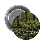 Trilliums, arboreto de Morgan, rojo de Montreal, Q Pins