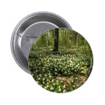 Trilliums blancos, arboreto de Morgan, Montreal, Q Pin