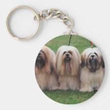 Trío de Lasa Apso Llaveros Personalizados