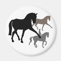 Trío de los caballos del Dressage Imanes