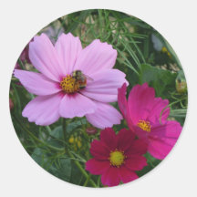 Trío del cosmos - abeja ocupada pegatina